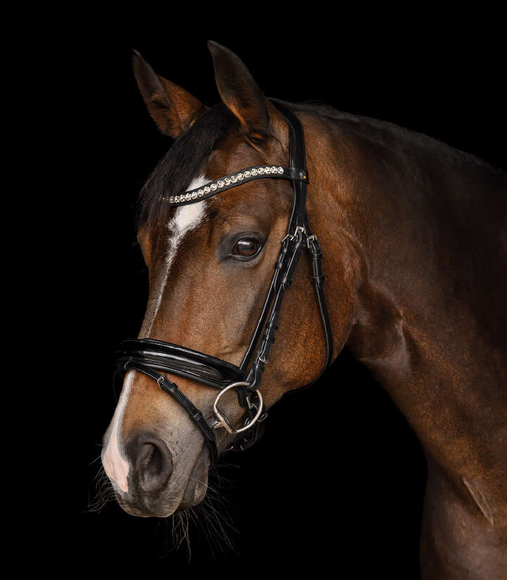 WALDHAUSEN X-Line Trensenzaum Evermore